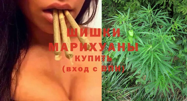 гидропоника Рославль