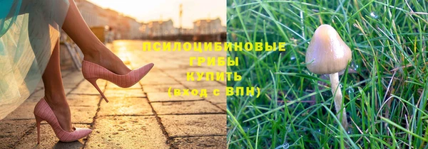 COCAINE Ельня