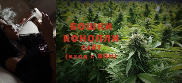 дурь Елабуга