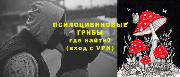 дурь Елабуга